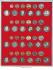 Lindner Münzenbox mit 48 runden Vertiefungen für 6 KMS NR. 2204