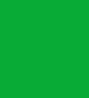 Safe Beba-Filzeinlagen grün Nr. 6135 für Maxi-Münzen-Schublade 6