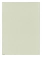 Lindner Blanko-Blätter PERMAPHIL® 170g/qm Nr. 805i per 10 Stück