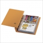 Safe Compact-Album Farbe beige Nr. 7888 für FDC's und Briefe bi