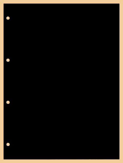 Kobra Zwischenblatt aus stabilem, schwarzem Karton für Sammel- u