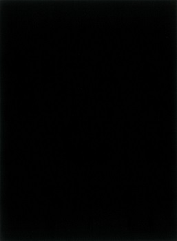 Lindner Beschriftungsblätter schwarz 802002 zu T-Blanko-Blätter
