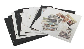 Safe transparenete Folien-Zwischenblätter per 5 Stück Nr. 1019 
