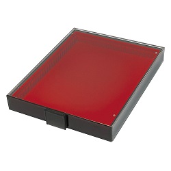 LINDNER Universal Sammelbox/Aufbewahrungsbox mit Schublade in Ra